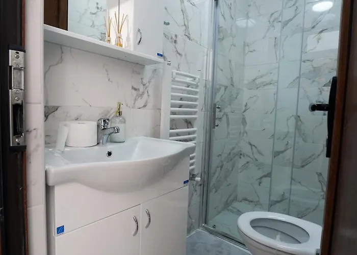 公寓 Smiljkovic90 *